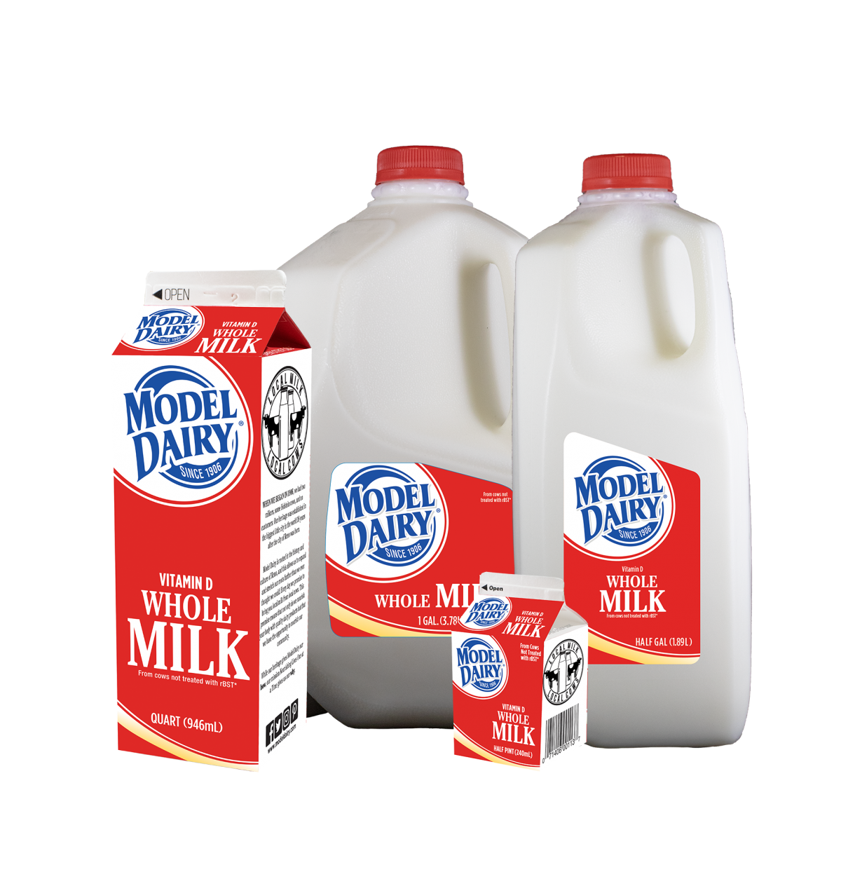 Whole Milk Model Dairy