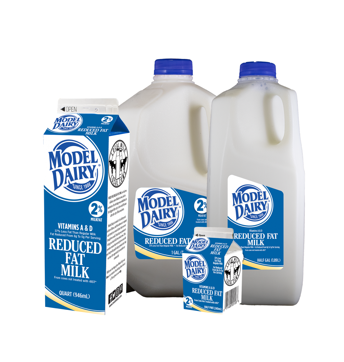 reduced-fat-milk-model-dairy